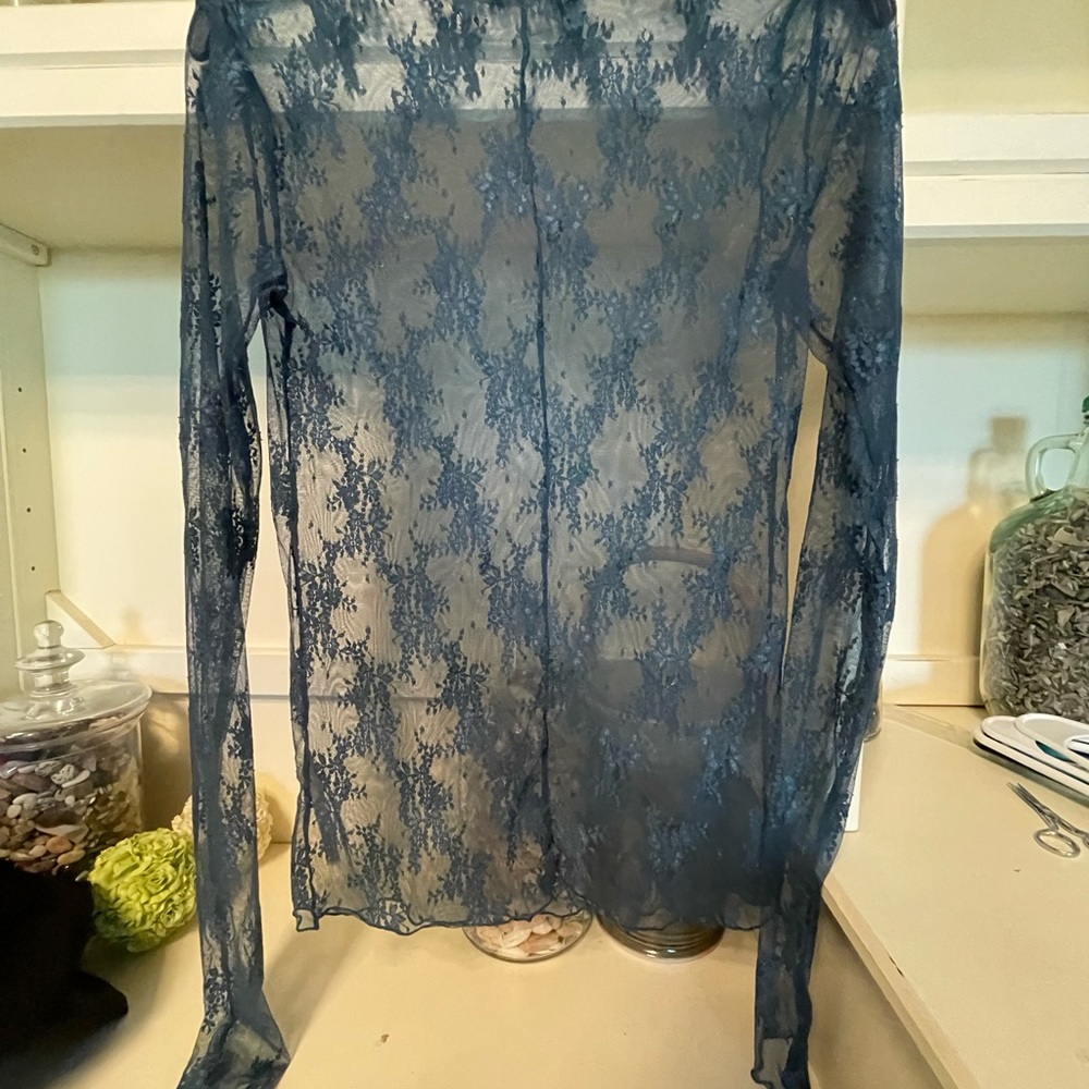 Free people Elegant Lace Sheer Top - Blue